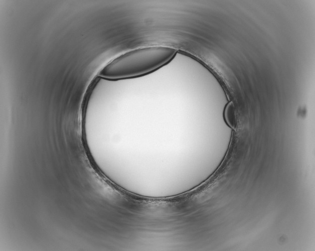 X0000090410940200708101916