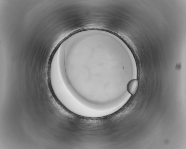 X0000090410941200708101916