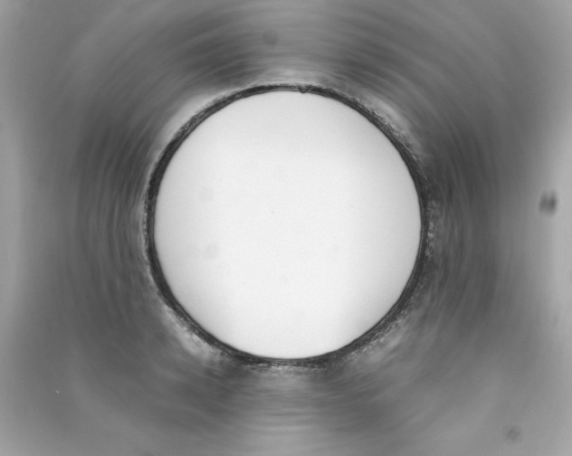 X0000090410942200708101916