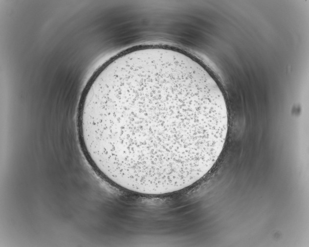 X0000090410943200708101916