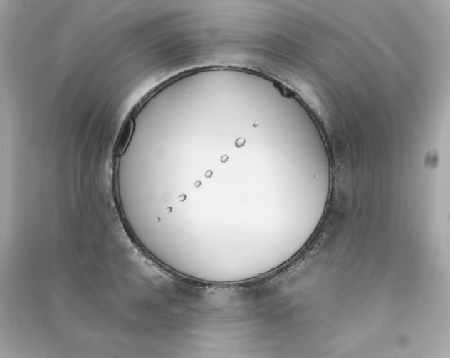 X0000090410944200708101916