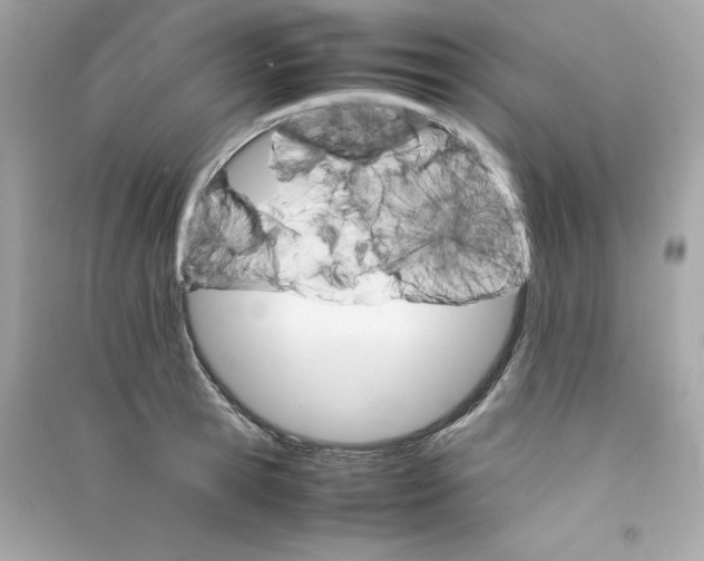X0000090410945200708101916