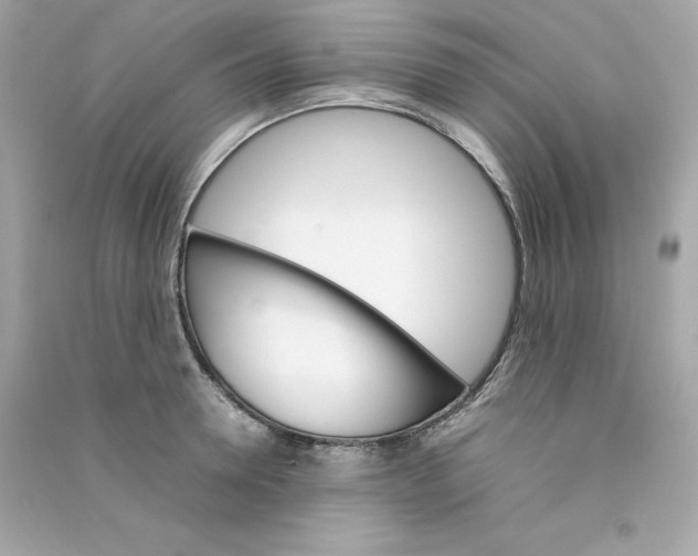 X0000090410946200708101916