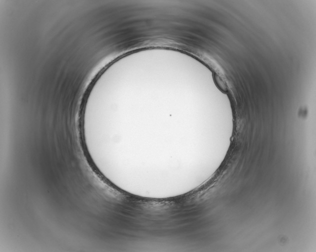 X0000090410947200708101916