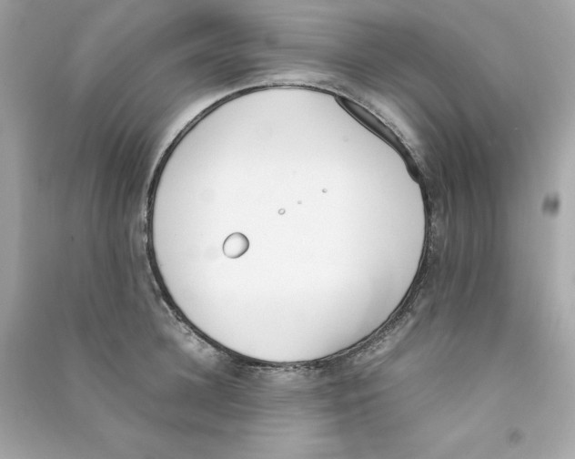 X0000090410948200708101916