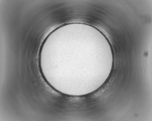 X0000090410949200708101916
