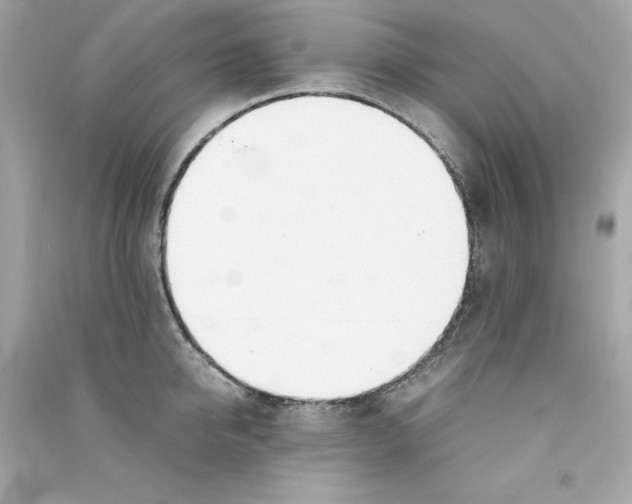 X0000090410950200708101916