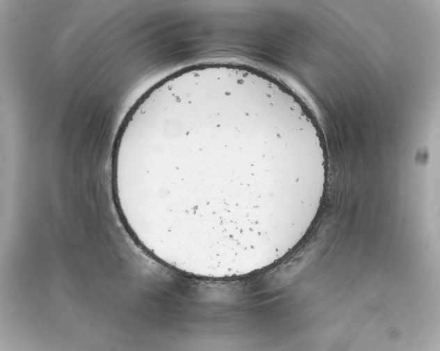 X0000090410951200708101916