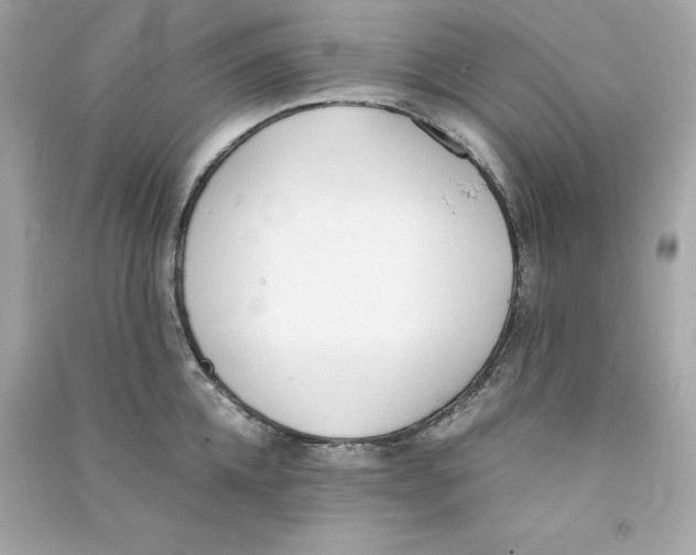 X0000090410952200708101916