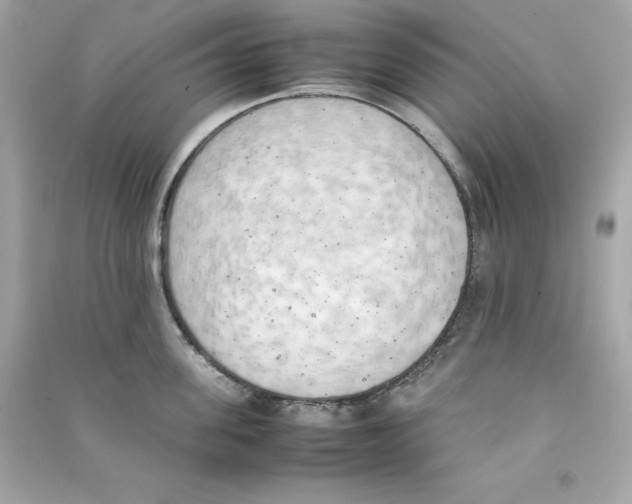 X0000090410955200708101916