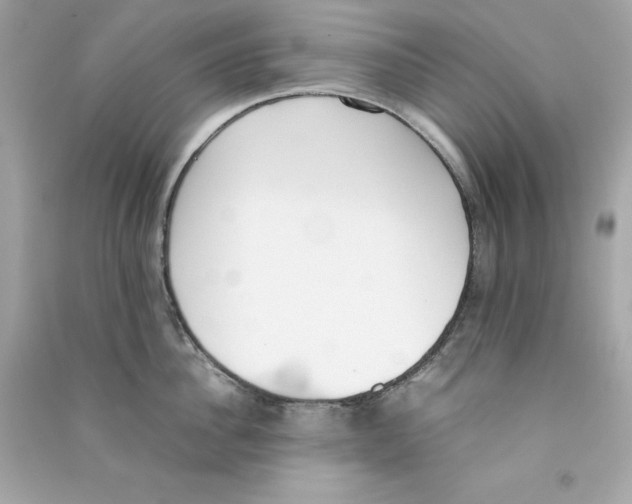 X0000090410956200708101916
