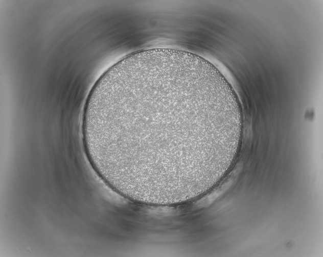 X0000090410957200708101916
