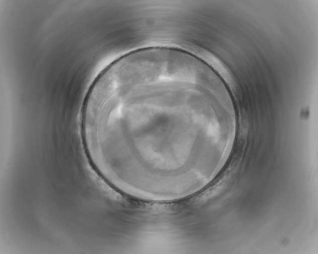 X0000090410958200708101916