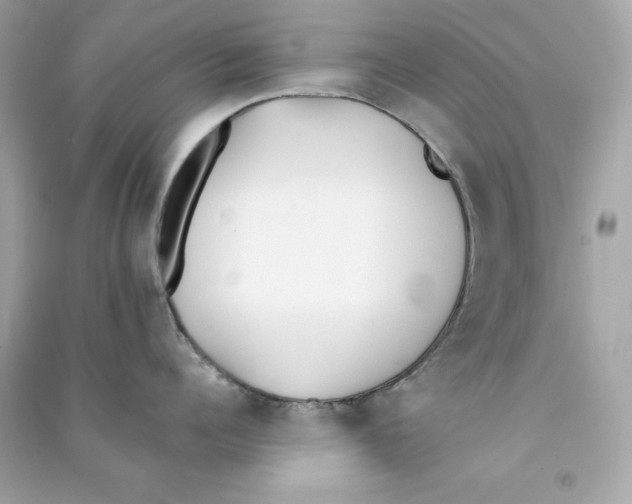 X0000090410960200708101916