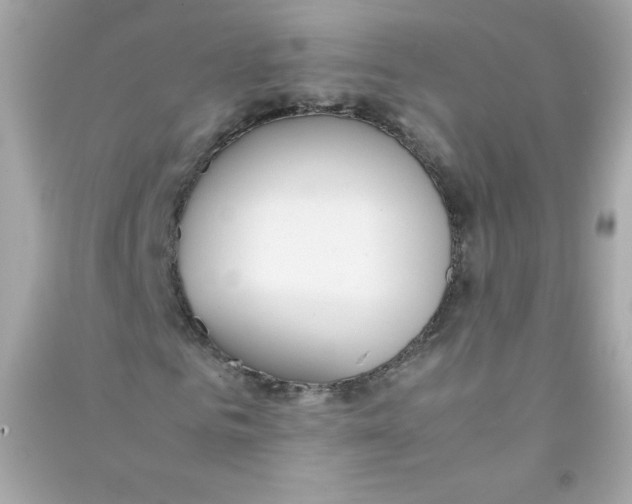X0000090410961200708101916