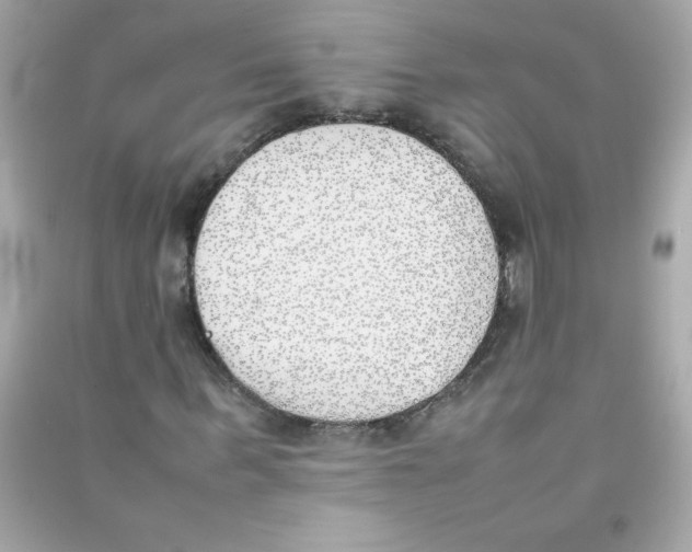 X0000090410963200708101916