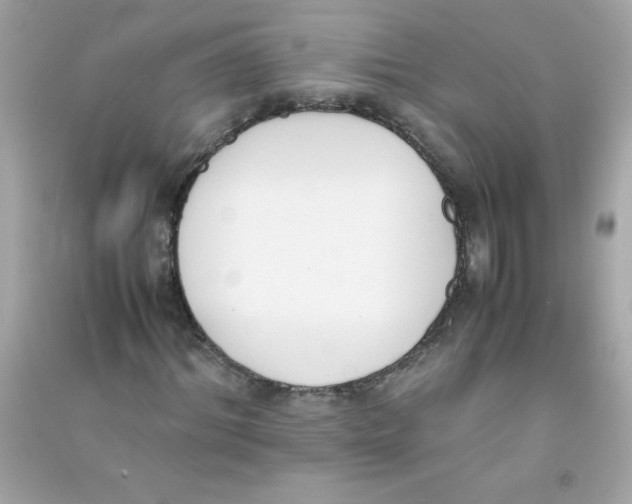 X0000090410964200708101916