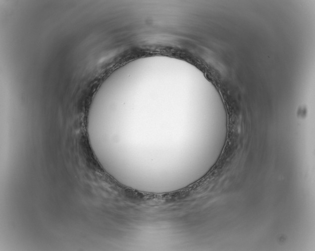 X0000090410965200708101916