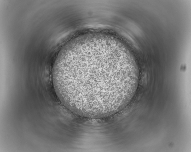 X0000090410966200708101916