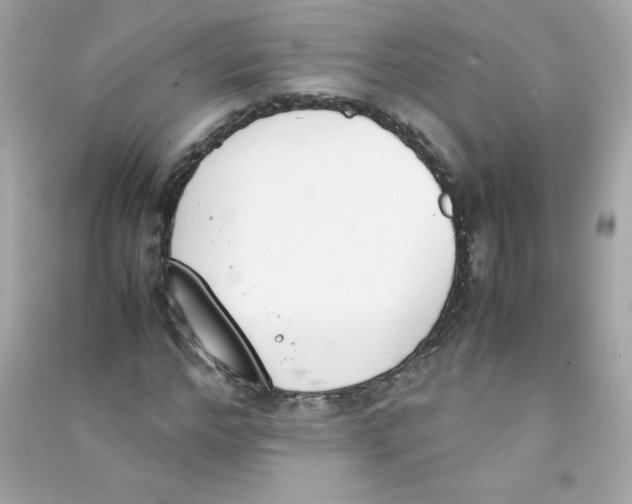X0000090410968200708101916