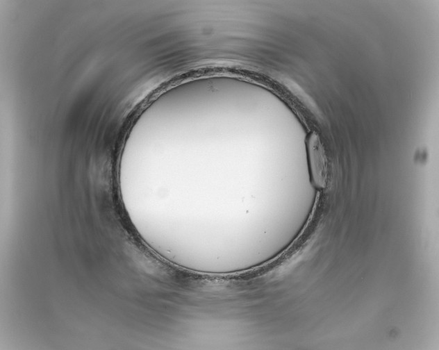 X0000090410969200708101916