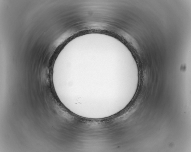 X0000090410970200708101916