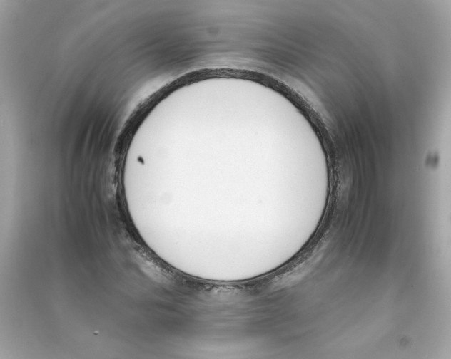 X0000090410974200708101916