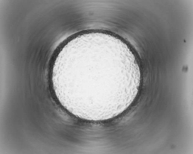 X0000090410975200708101916