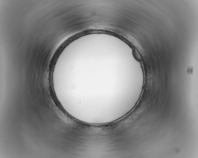 X0000090410976200708101915
