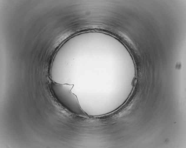 X0000090410977200708101915