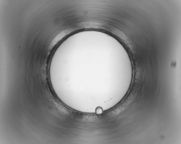 X0000090410978200708101915