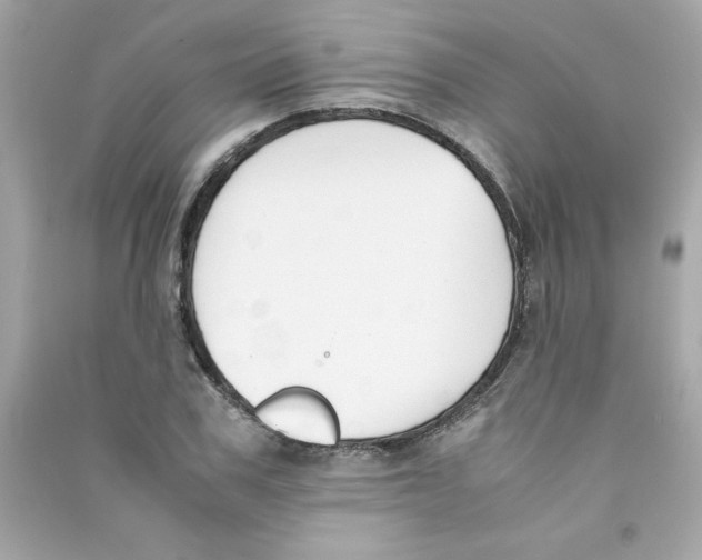 X0000090410979200708101915