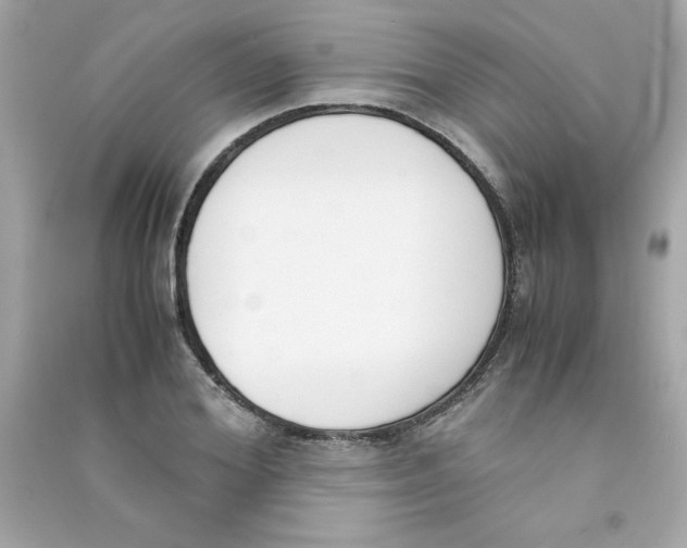 X0000090410980200708101915