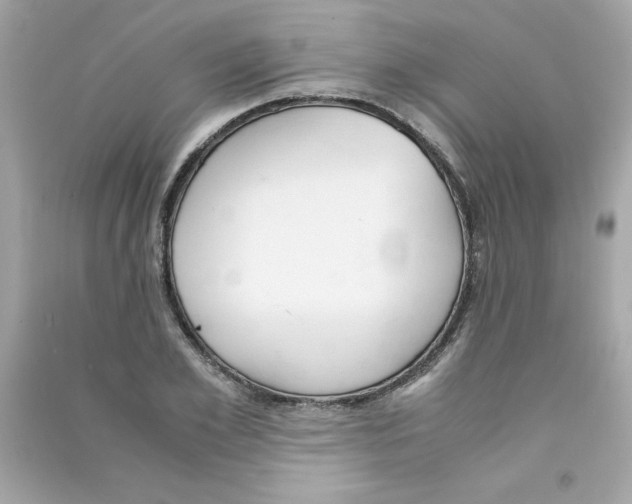 X0000090410981200708101915