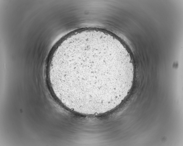 X0000090410983200708101915