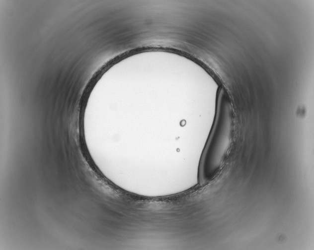 X0000090410984200708101915