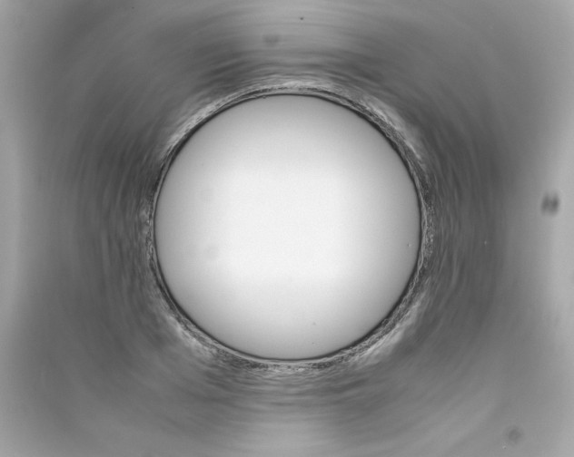 X0000090410985200708101915