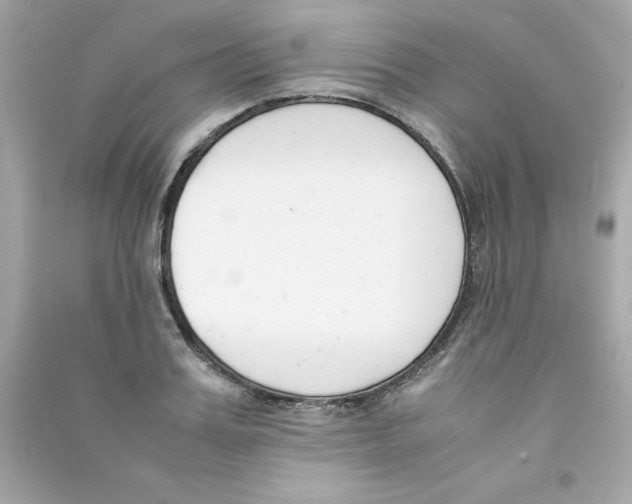 X0000090410987200708101915