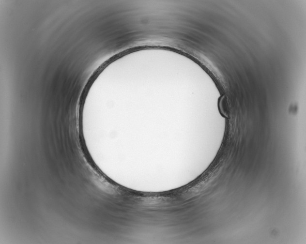 X0000090410988200708101915