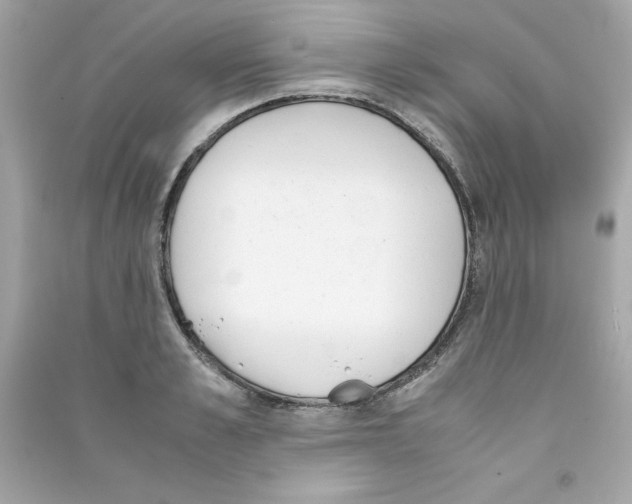 X0000090410989200708101915