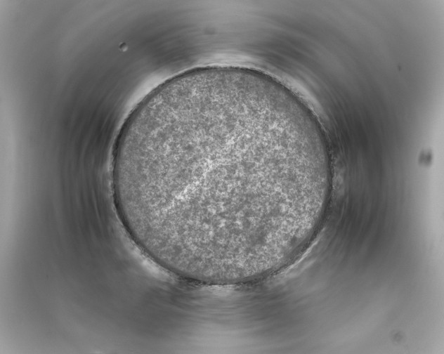 X0000090410990200708101915