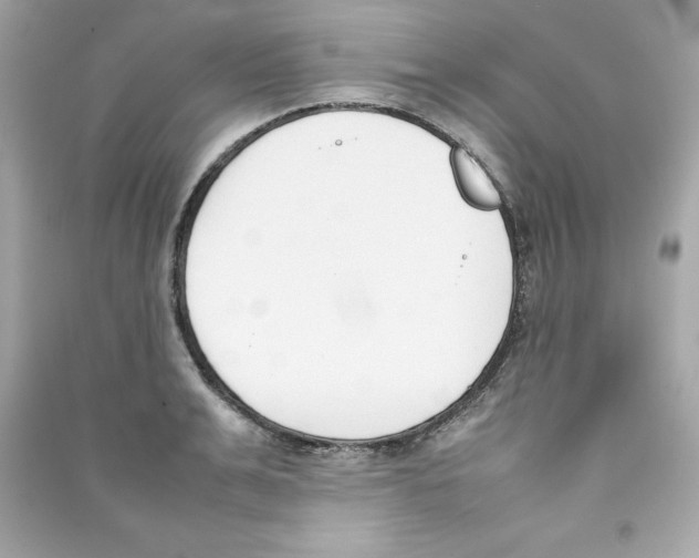X0000090410991200708101915
