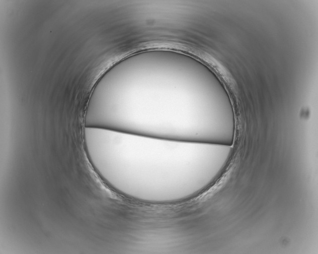 X0000090410993200708101915