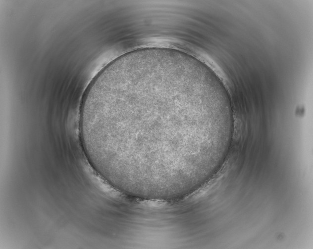 X0000090410994200708101915