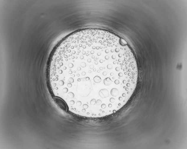 X0000090410995200708101915