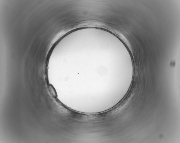 X0000090410997200708101915