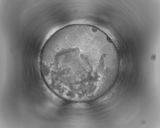 X0000090410998200708101915