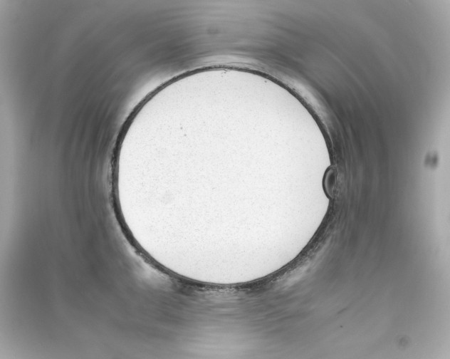 X0000090410999200708101915