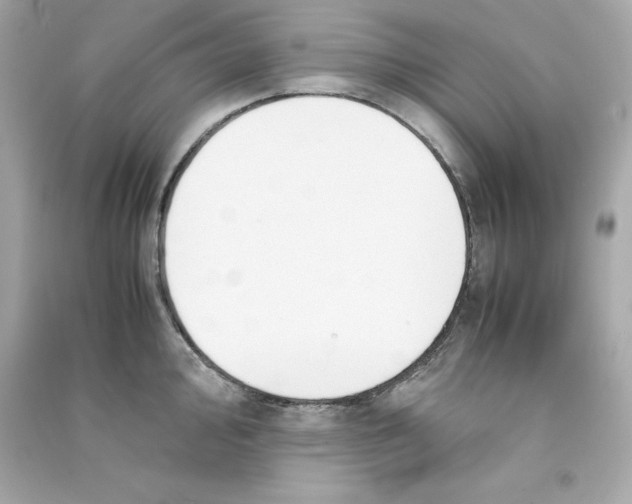 X0000090411000200708101915