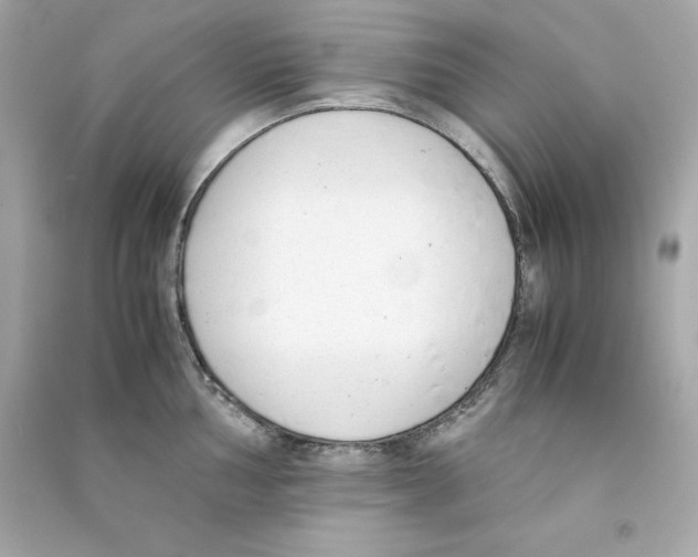 X0000090411002200708101915